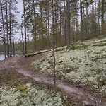 Dyyni - Oulujaervi Manamansalo *