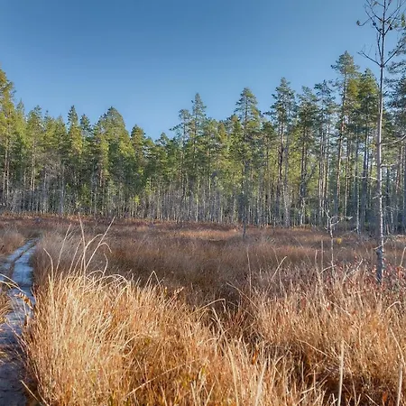 Dyyni - Oulujaervi Manamansalo Villa Vaala