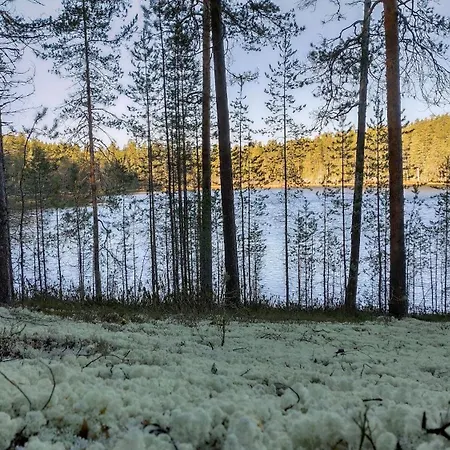Dyyni - Oulujaervi Manamansalo * Vaala