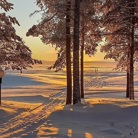 Dyyni - Oulujaervi Manamansalo *