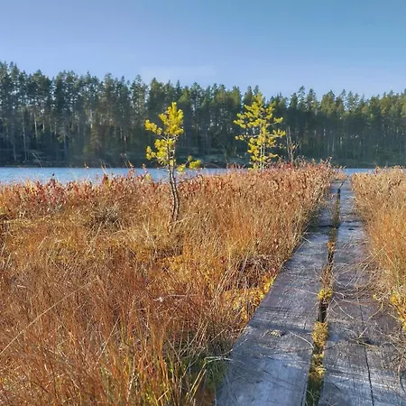 Dyyni - Oulujaervi Manamansalo Villa Vaala