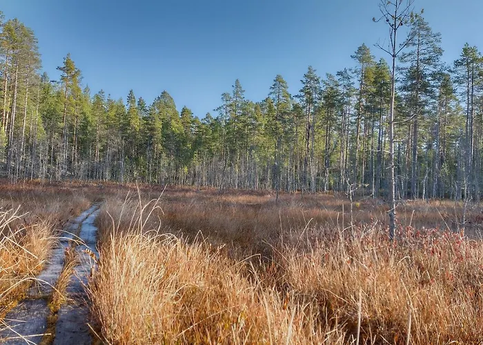 Dyyni - Oulujaervi Manamansalo ヴィラ Vaala