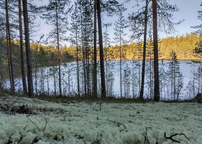 Dyyni - Oulujaervi Manamansalo * Vaala