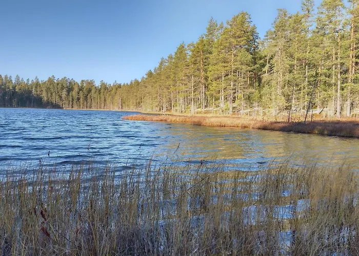 ヴィラ Dyyni - Oulujaervi Manamansalo