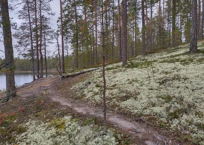 Dyyni - Oulujaervi Manamansalo *