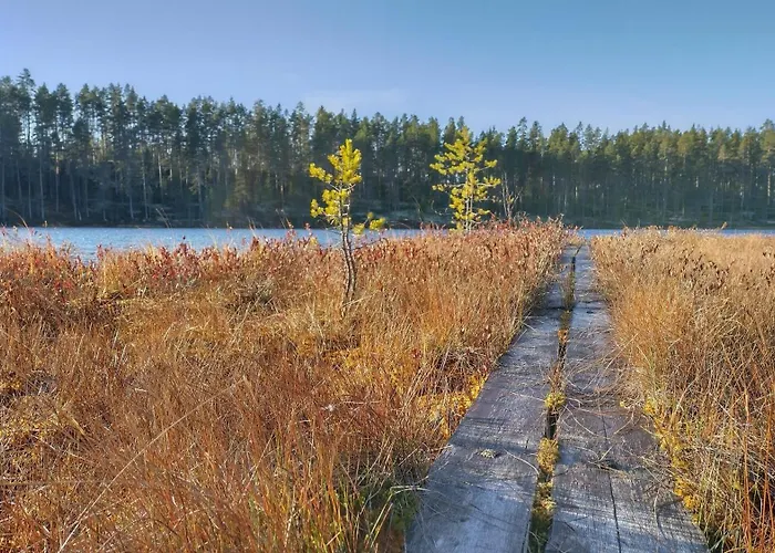 Dyyni - Oulujaervi Manamansalo ヴィラ Vaala