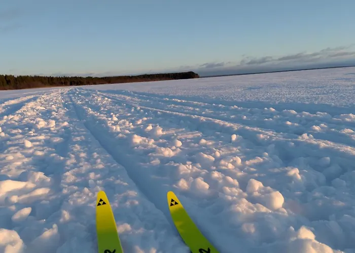 Dyyni - Oulujaervi Manamansalo *